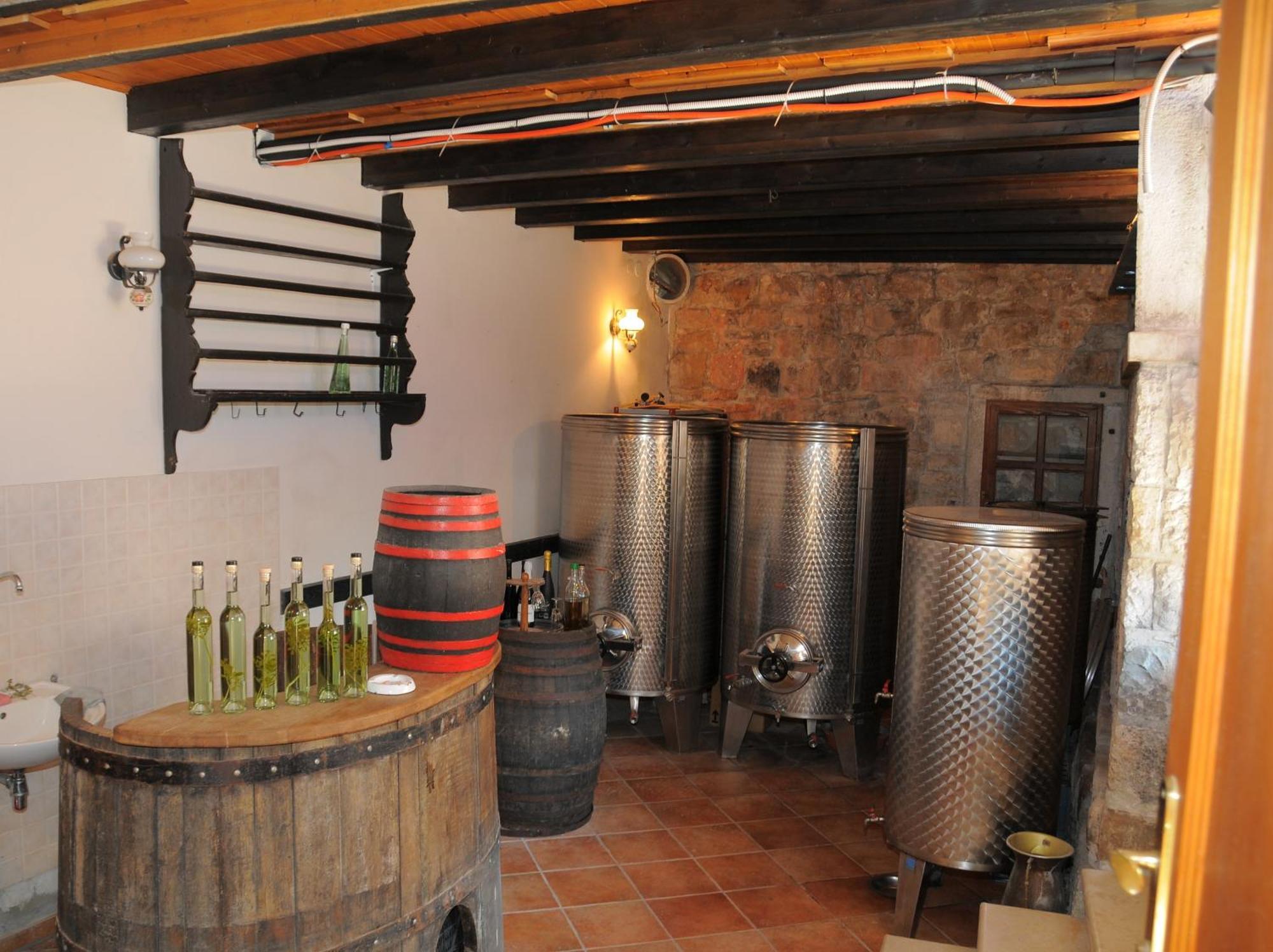 Villa Radovan Novigrad Istria Extérieur photo